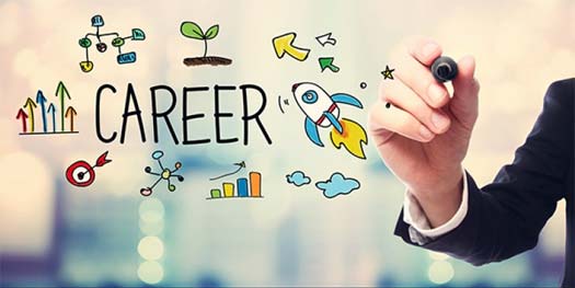 silwa career